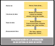 Esquema que representa los niveles de abstracción de una base de datos: mundo real, bases de datos, estructuras de datos, almacenamiento físico.