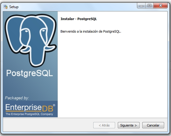 Ejecución del Instalador