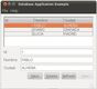 Captura de pantalla que muestra la manera diseñar  un base de datos sencilla utilizando NetBeans incluyendo nombre y ciudad de los usuarios que se van a almacenar en esa base de datos.
