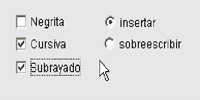 Esquema formado por un rectángulo gris en cuyo interior se aprecian dos columnas formadas por palabras y casillas de verificación. En la parte superior y a la izquierda, una casilla de verificación vacía y a su lado la palabra “NEGRITA”. Debajo, una casilla seleccionada y la palabra “CURSIVA”. Debajo de ésta, una casilla seleccionada y a su lado la palabra “SUBRAYADO”. En la columna de la derecha, en la parte superior, un círculo pequeño seleccionado y a su lado la palabra “INSERTAR”. Debajo de éste, un círculo vacío y a su lado la palabra “SOBREESCRIBIR”.