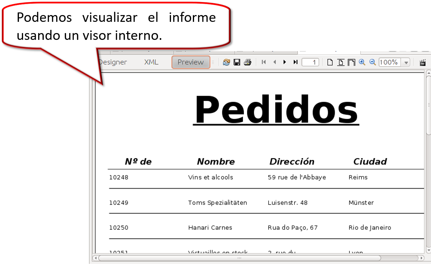 Informe en el visor interno