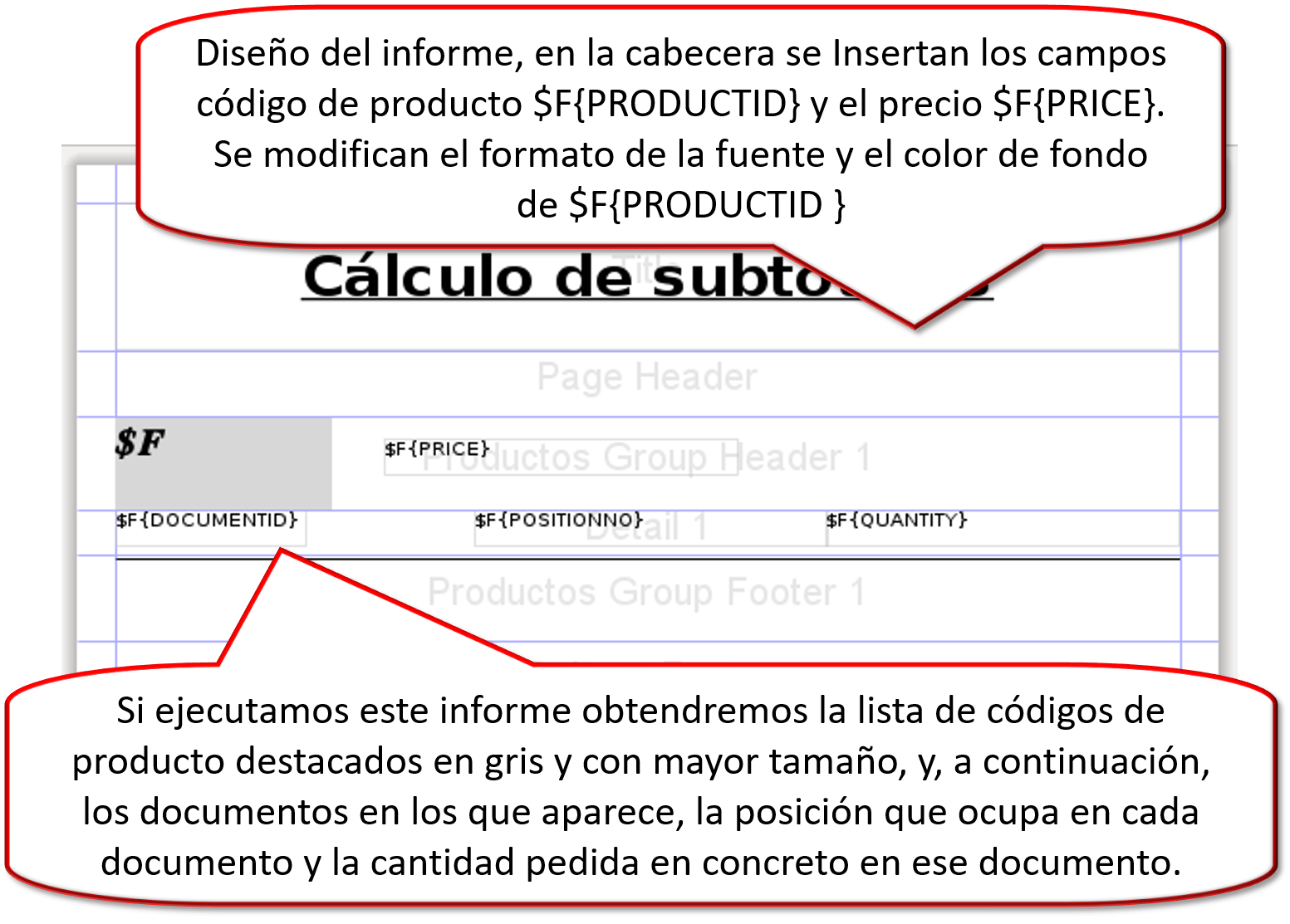 Diseño del informe
