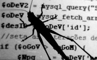 Saltamontes encima de un monitor que muestra líneas de código de una aplicación web, intentando hacer una analogía de los errores (bugs en inglés) que se detectan durante la programación.