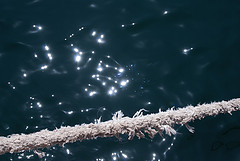 Una cuerda sobre el agua.