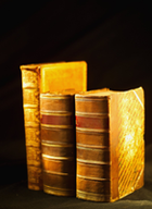 Varios libros en vertical, uno junto a otro.