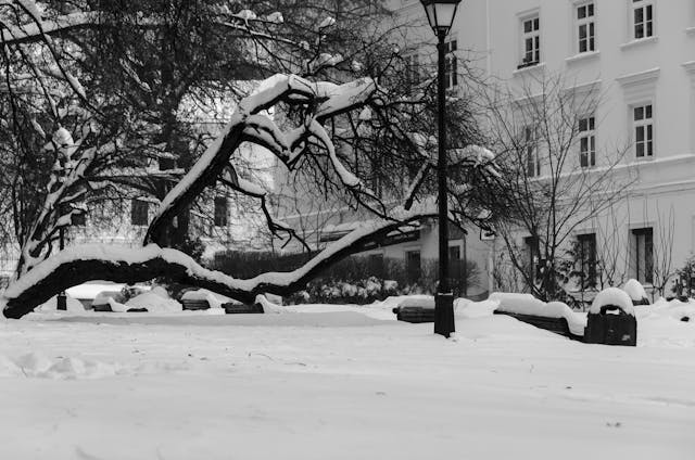Camino en la nieve