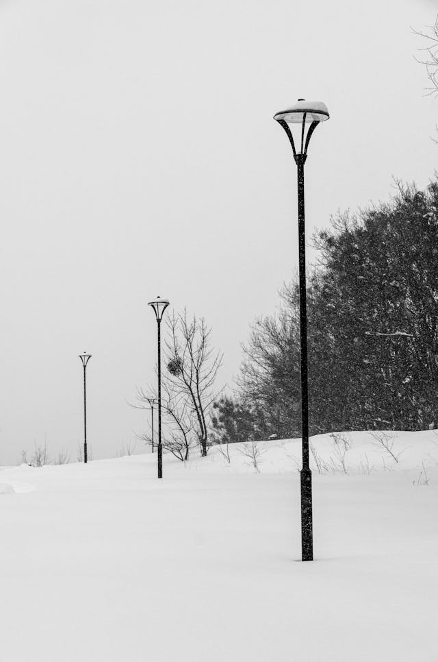 Farolas en la nieve