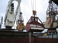 Grua de carga portuaria.