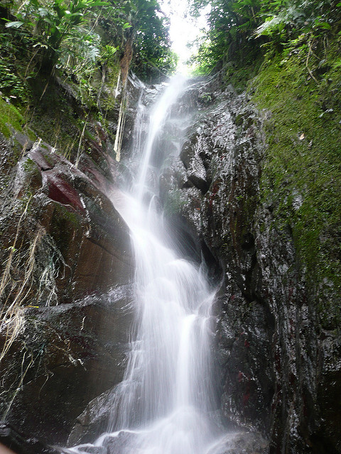 Hojas de estilo en cascada
