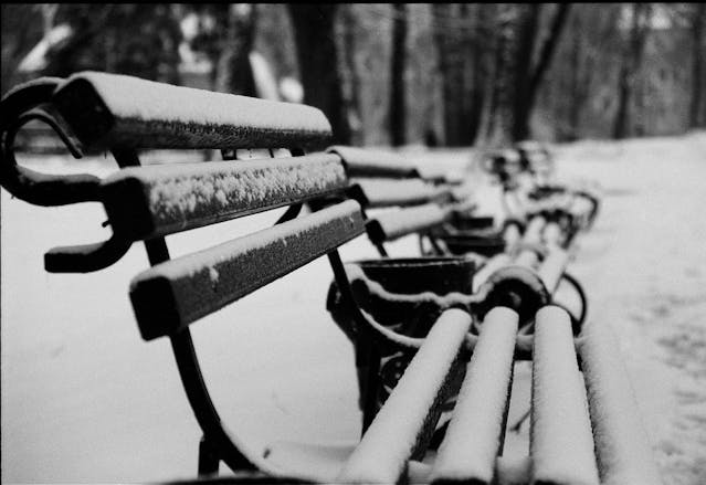 Banco en la nieve