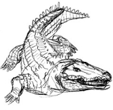 Dibujo de un cocodrilo.