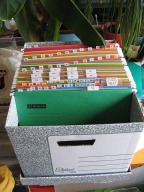 Carpetas de documentos en archivadores.