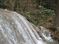 Flujo de agua en un río.
