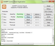 Pantalla de instalación/configuración del servidor Apache con Xampp en Windows.