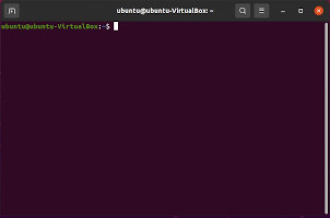 Captura de pantalla de la Terminal o shell