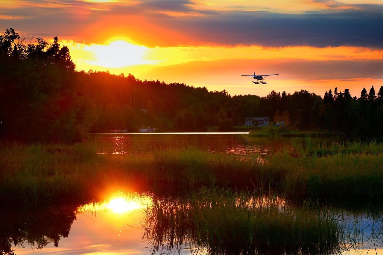 Imagen de Bosque, Lago y Pantano.